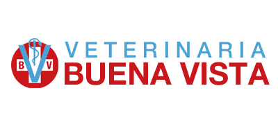 veterinariabuenavista.com